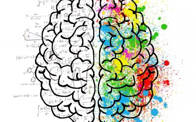 Not Broken, Just Different: An Introduction to Neurodiversity